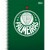 Caderno Palmeiras B 10 Matérias 200mmX275mm - Tilibra