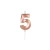 Vela De Aniversario Rose Numero 5 Silver Festas