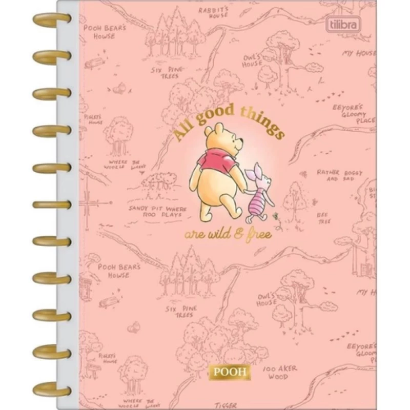 Caderno Univrsitario Tilidisco 10 Materias 160 Folhas Ursinho Pooh Tilibra